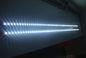 Luz de tira branca do diodo emissor de luz do brilho super SMD 3528 diodo emissor de luz do rolo 60 de 5 medidores/M de DC12V/24V
